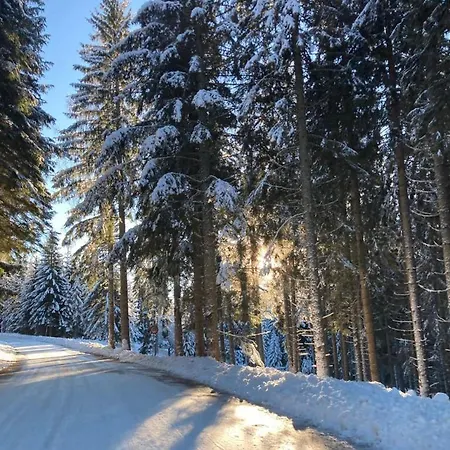 Familienapartment Sonne Und Schnee Apartament *