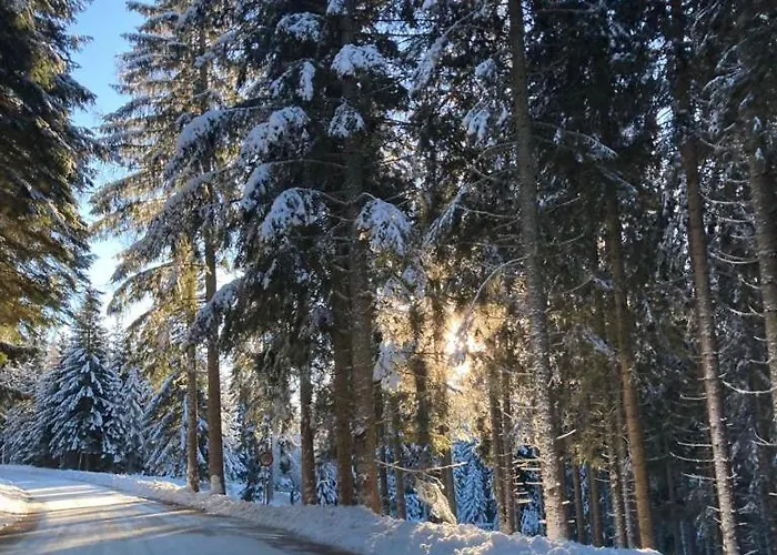 Familienapartment Sonne Und Schnee Apartament *